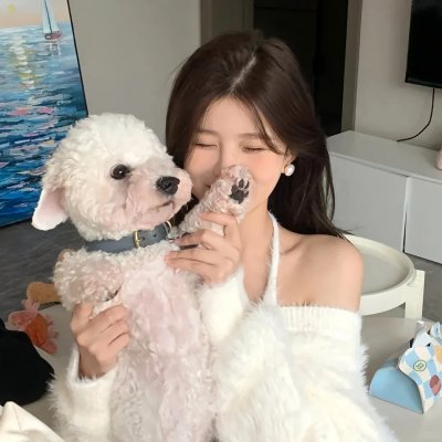 美国的儿子